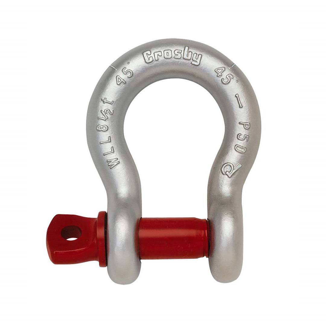 شگل نعلی کروزبی